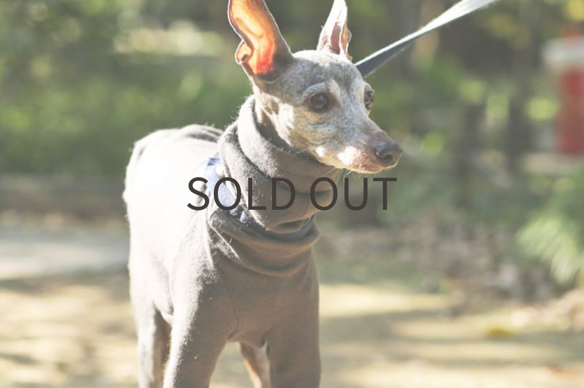 画像5: シャツ：ウールミルドニット（チャコール） (5)