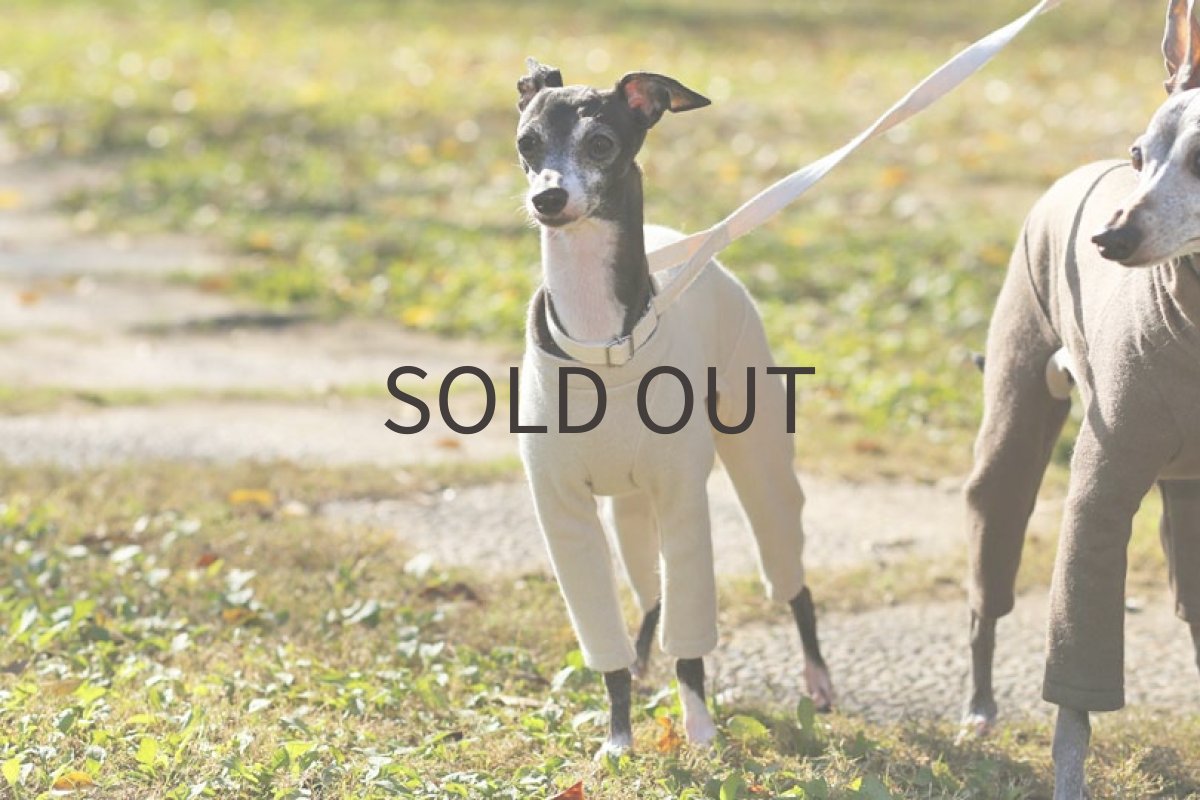 画像4: ウールミルドニット（アイボリー） (4)