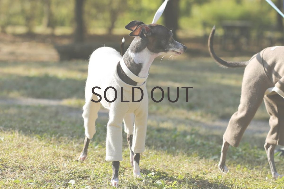 画像5: ウールミルドニット（アイボリー） (5)