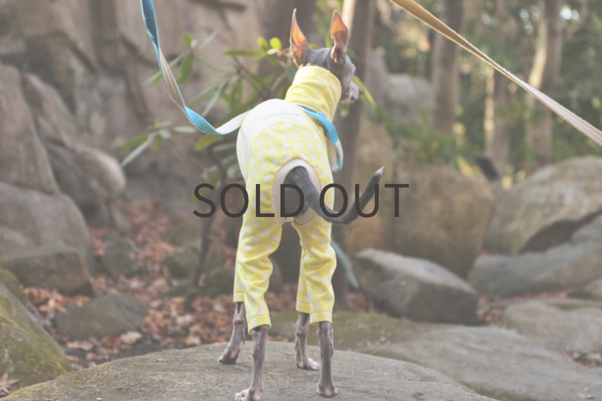 画像3: やわらか接結ニット（レモン） (3)