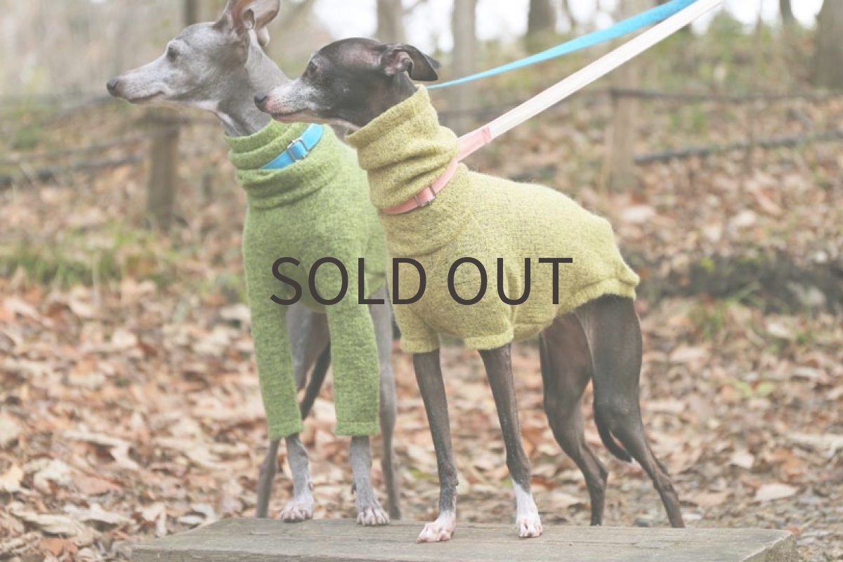 画像4: ふわっと起毛（きび） (4)