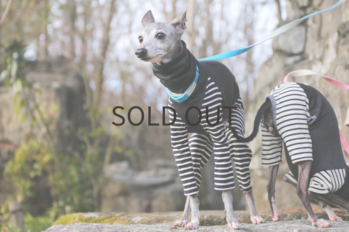 画像3: しましま袖のロンパ（ネイビー） (3)