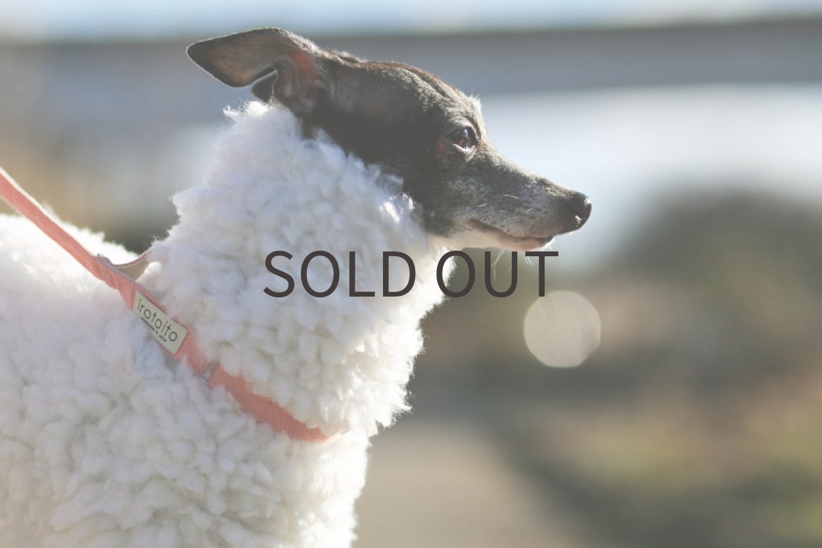 画像4: アルパカニット（ホワイト）Lサイズのみ (4)