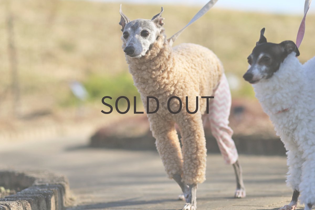 画像5: アルパカニット（ベージュ） (5)