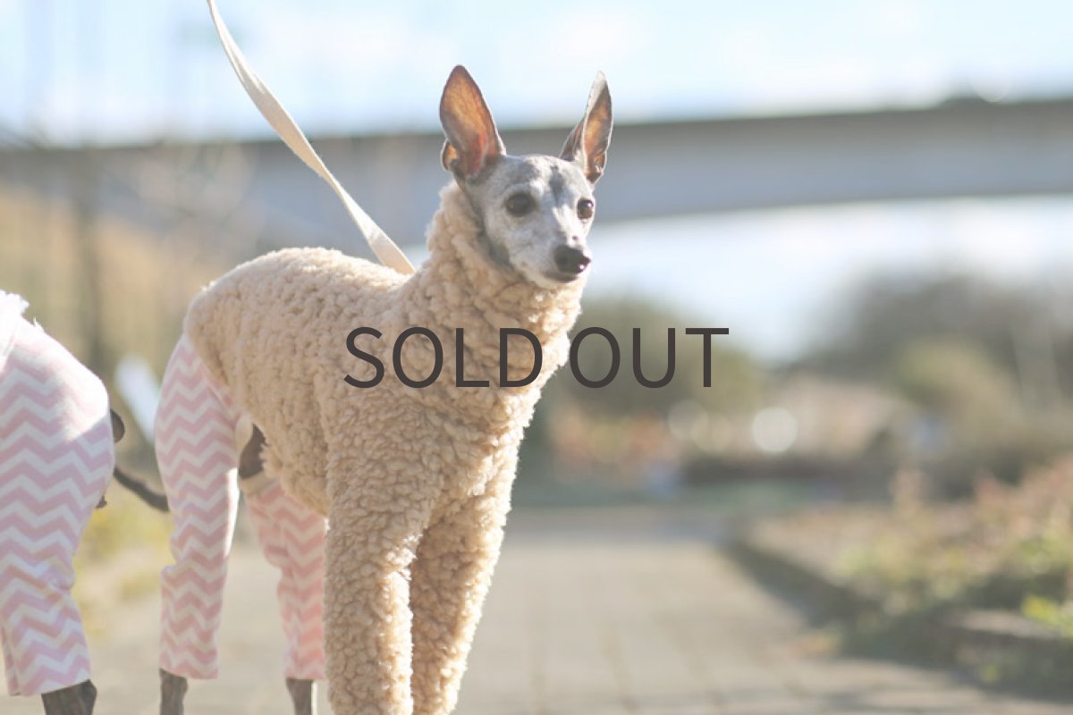 画像4: アルパカニット（ベージュ） (4)