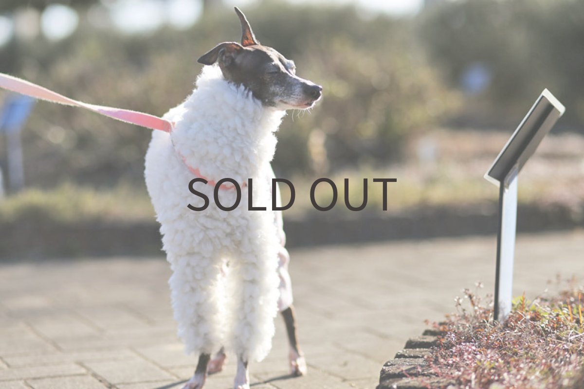 画像2: アルパカニット（ホワイト）Lサイズのみ (2)