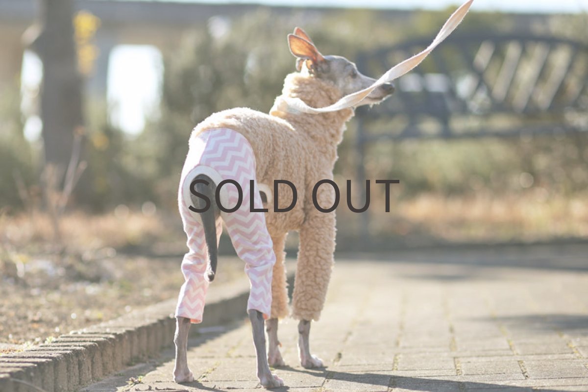 画像3: アルパカニット（ベージュ） (3)