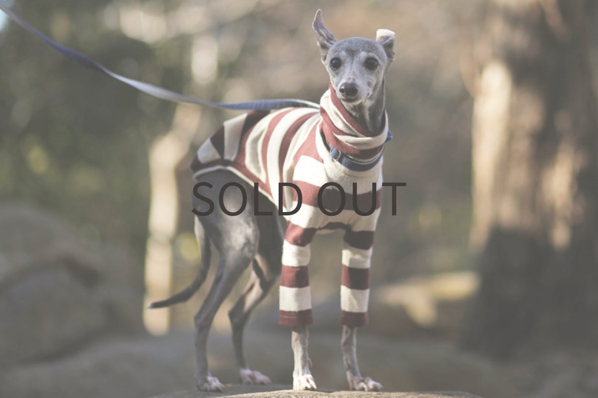 画像3: 起毛ブランボーダー（チョコレート） (3)