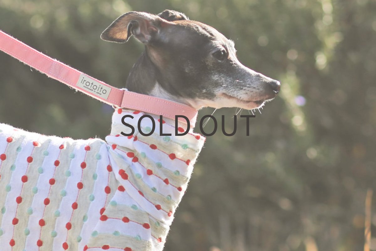 画像3: ドビーボーダー（レッド×ミント） (3)