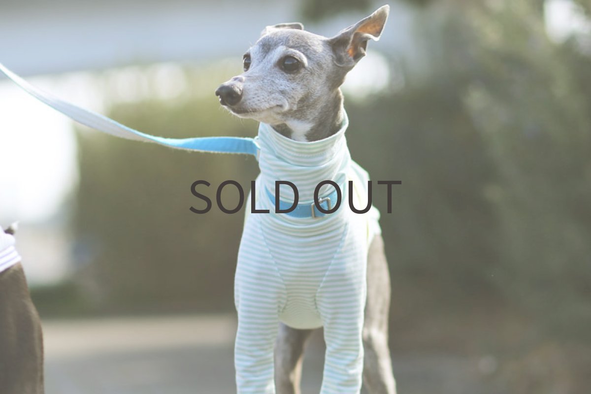 画像2: 切り替えボーダー（ミントグリーン）〜Mサイズまで (2)