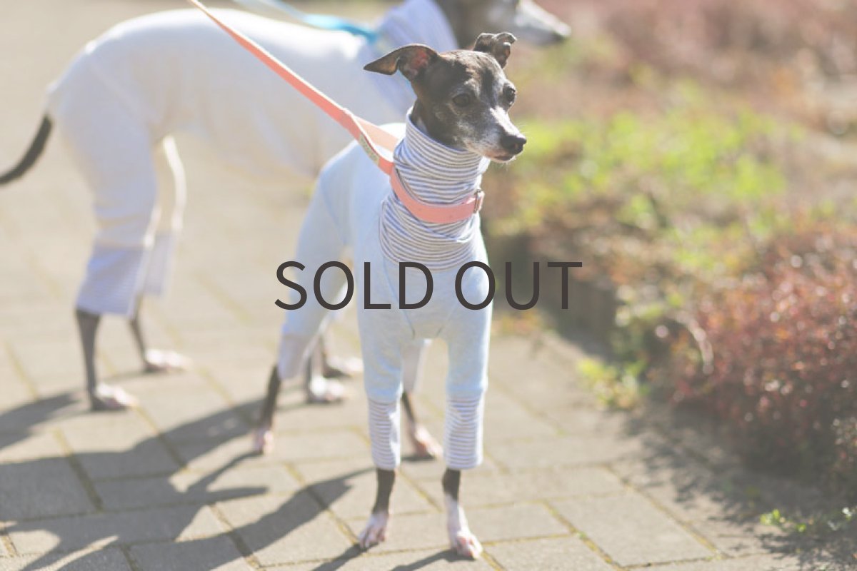 画像3: 春色 切り替えロンパース（ミント）〜Lサイズまで (3)