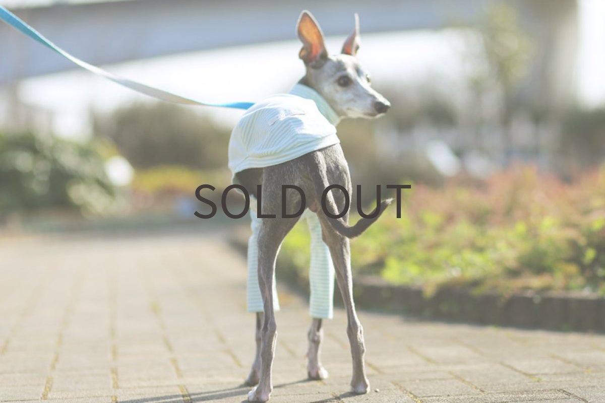 画像3: 切り替えボーダー（ミントグリーン）〜Mサイズまで (3)