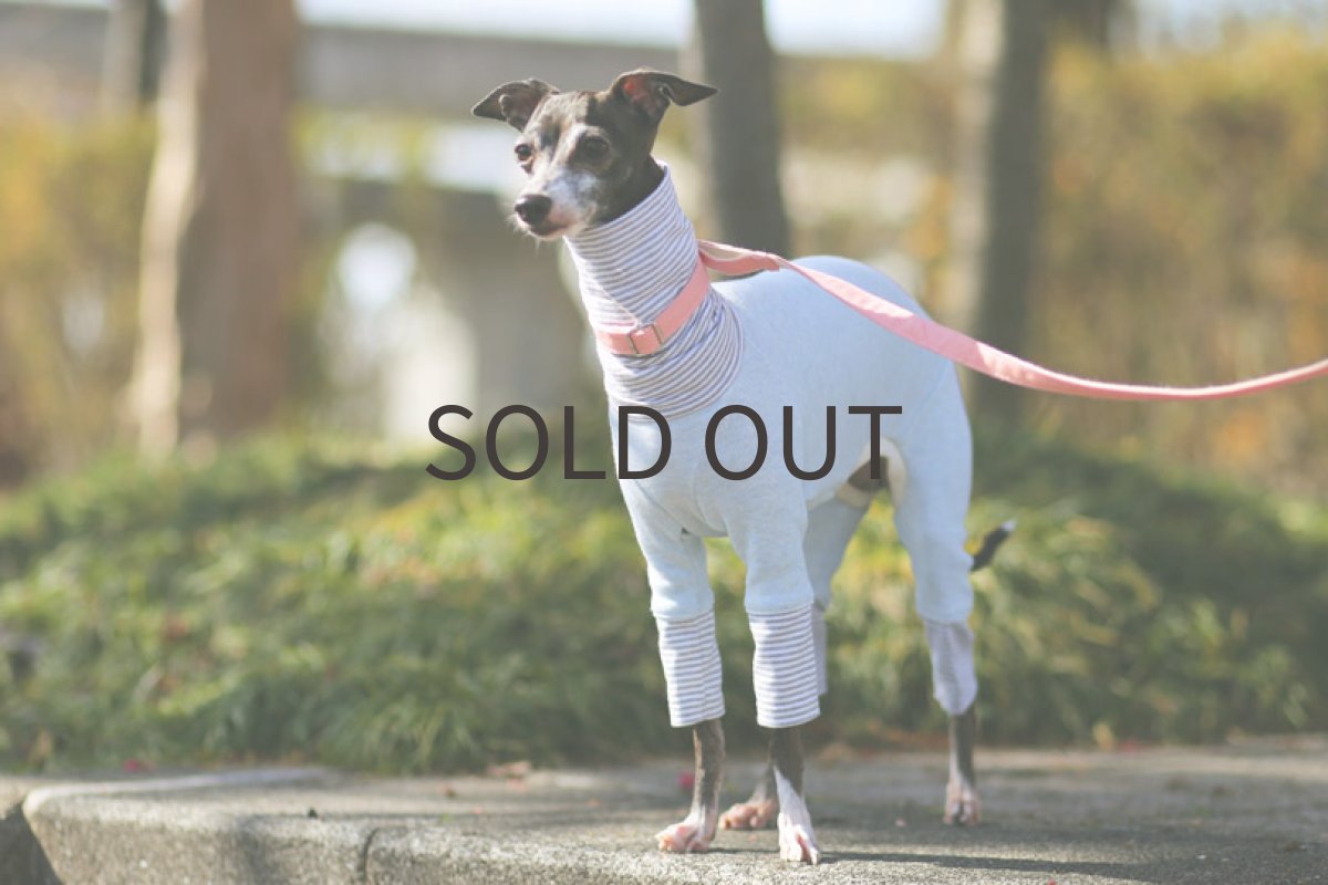 画像2: 春色 切り替えロンパース（ミント）〜Lサイズまで (2)