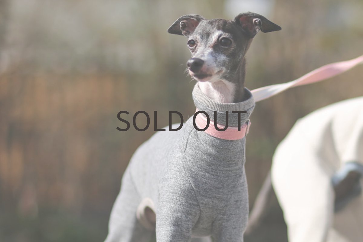 画像3: 裏起毛の杢調ロンパ(チャコール)〜Mサイズまで (3)