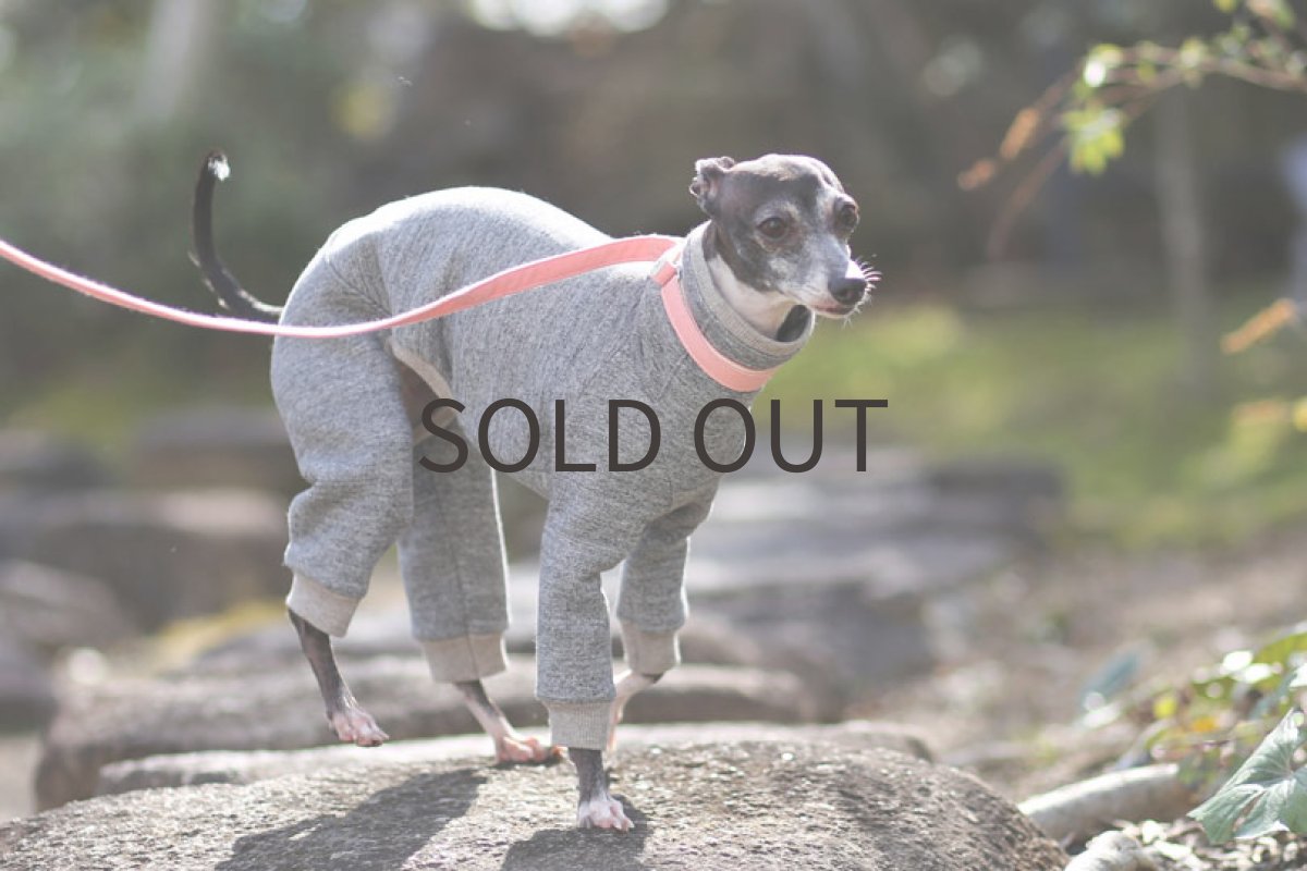 画像2: 裏起毛の杢調ロンパ(チャコール)〜Mサイズまで (2)