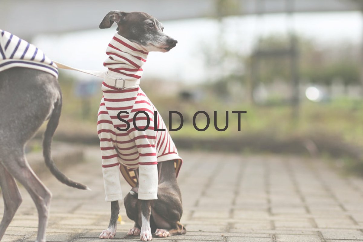 画像3: 袖切り替えボーダー（レッド）〜Lサイズまで (3)