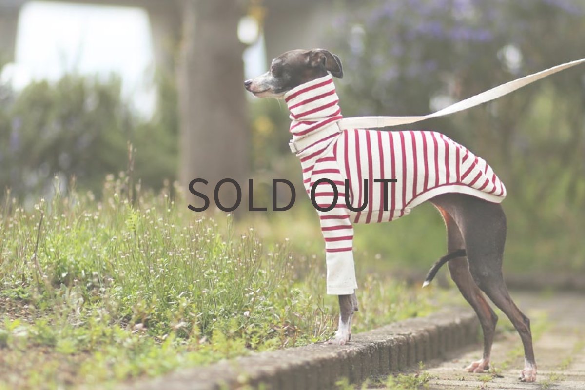 画像2: 袖切り替えボーダー（レッド）〜Lサイズまで (2)