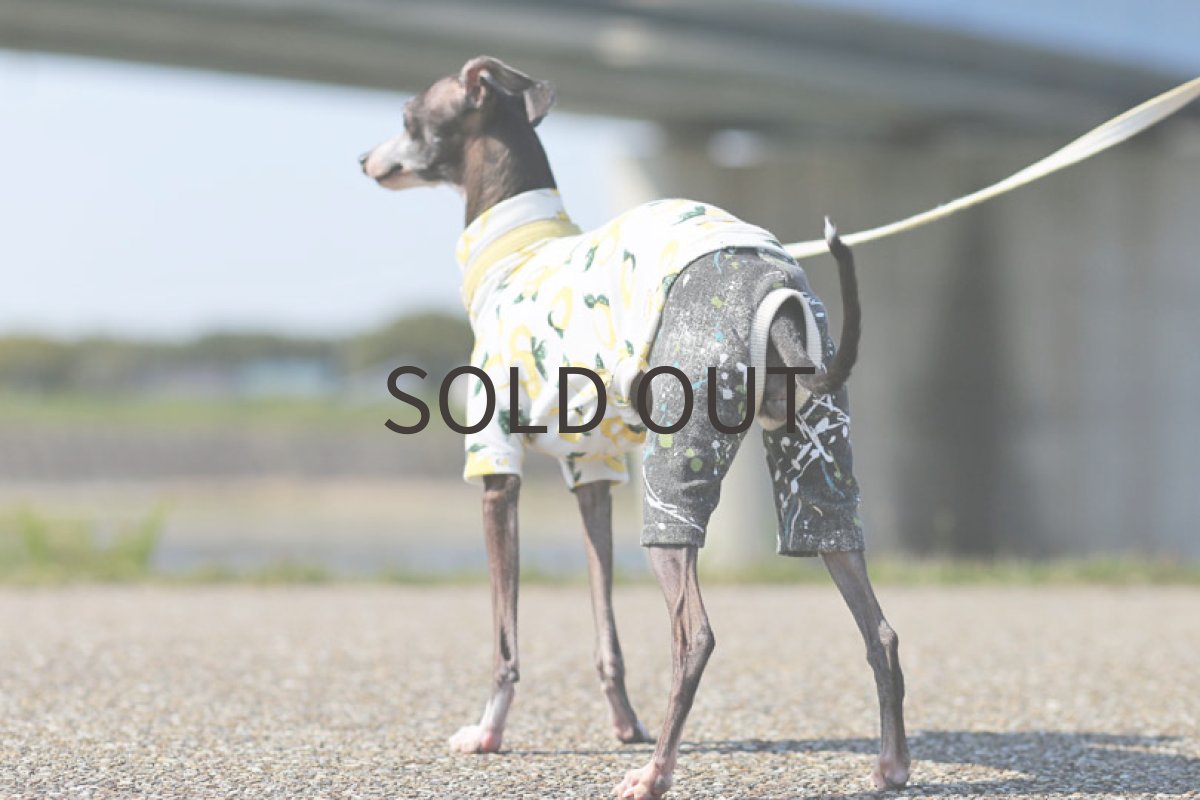 画像2: レモンプリント（ブラック）〜Mサイズまで (2)