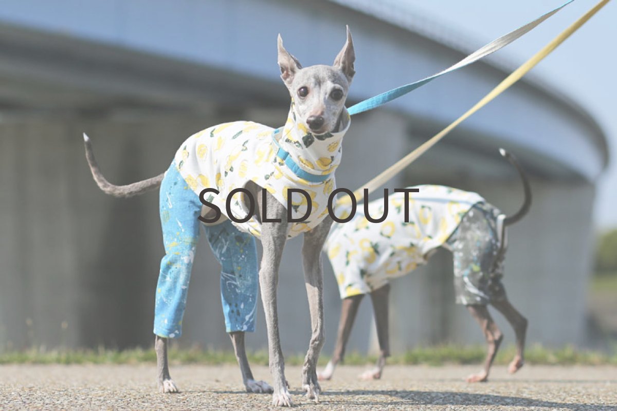 画像2: レモンプリント（サックス） (2)