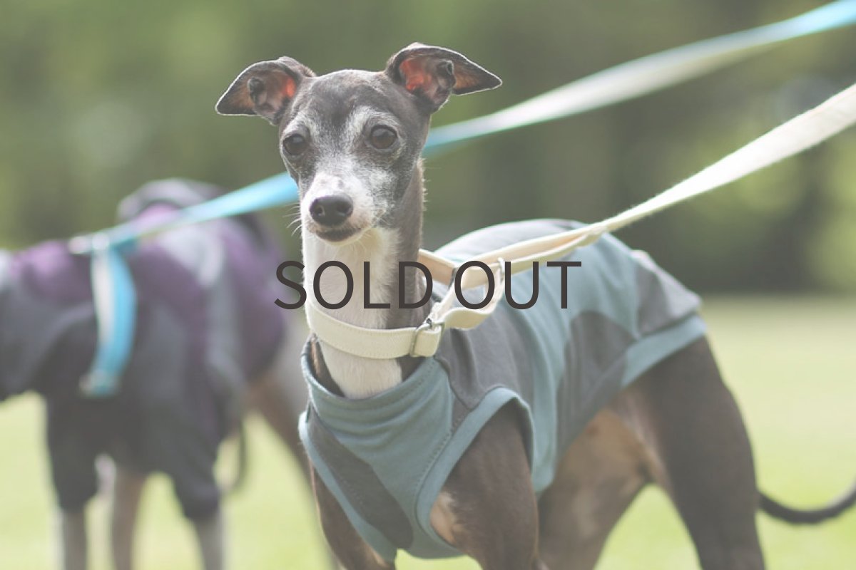 画像2: ビッグドット（ダスティミント）〜Lサイズまで　ノースリーブのみ (2)