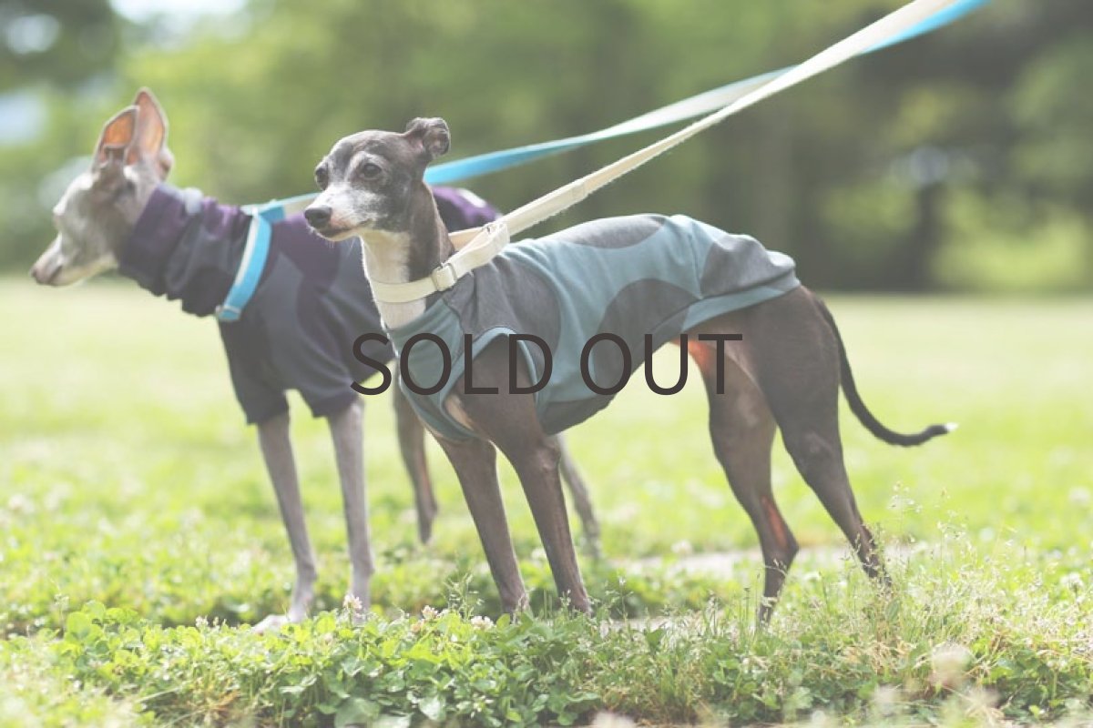 画像4: ビッグドット（ダスティミント）〜Lサイズまで　ノースリーブのみ (4)