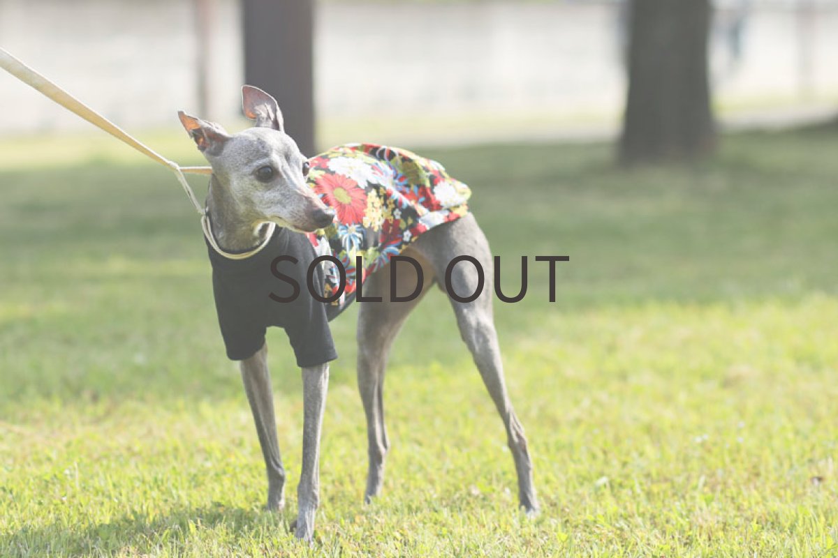 画像2: 花柄デジプリント（ブラック）〜LLサイズまで ノースリーブのみ (2)