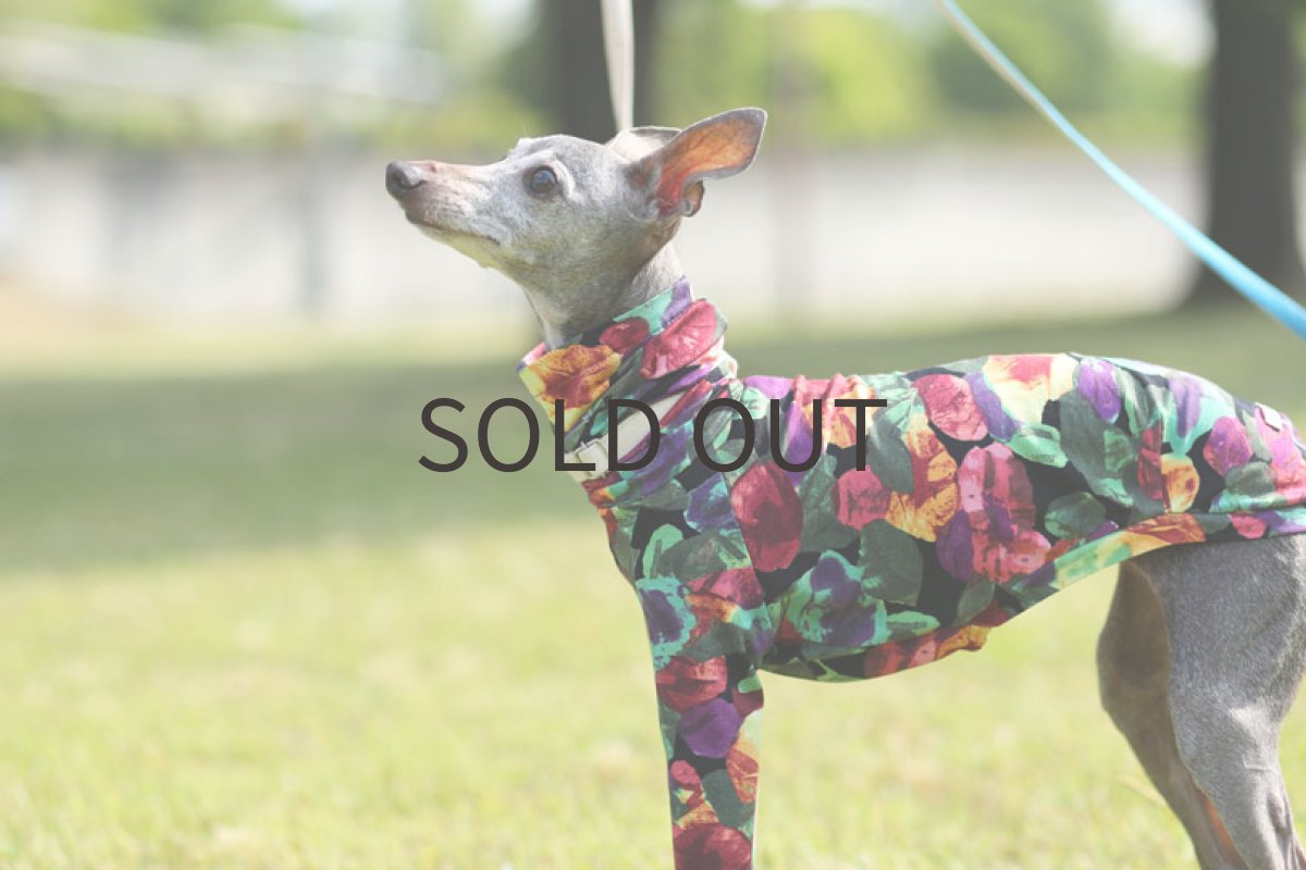 画像3: イタリー製プリント(HANA)〜LLサイズまで (3)