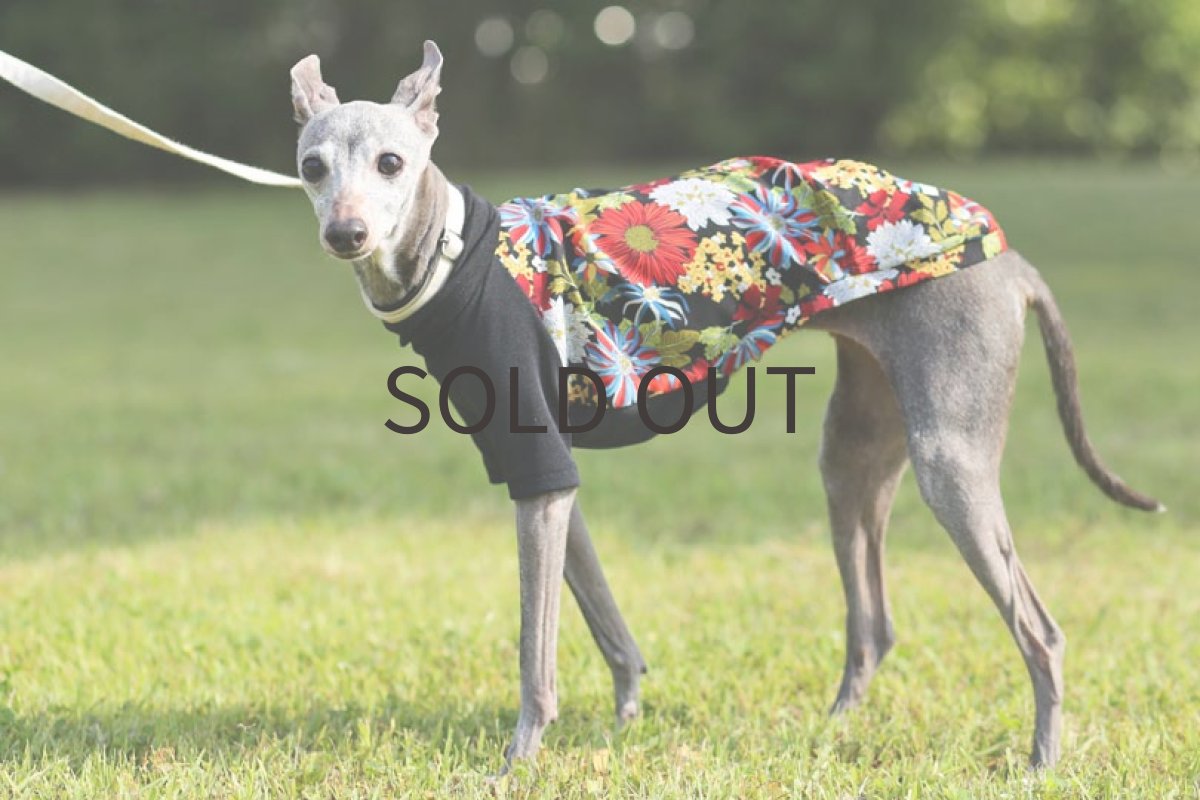 画像3: 花柄デジプリント（ブラック）〜LLサイズまで ノースリーブのみ (3)