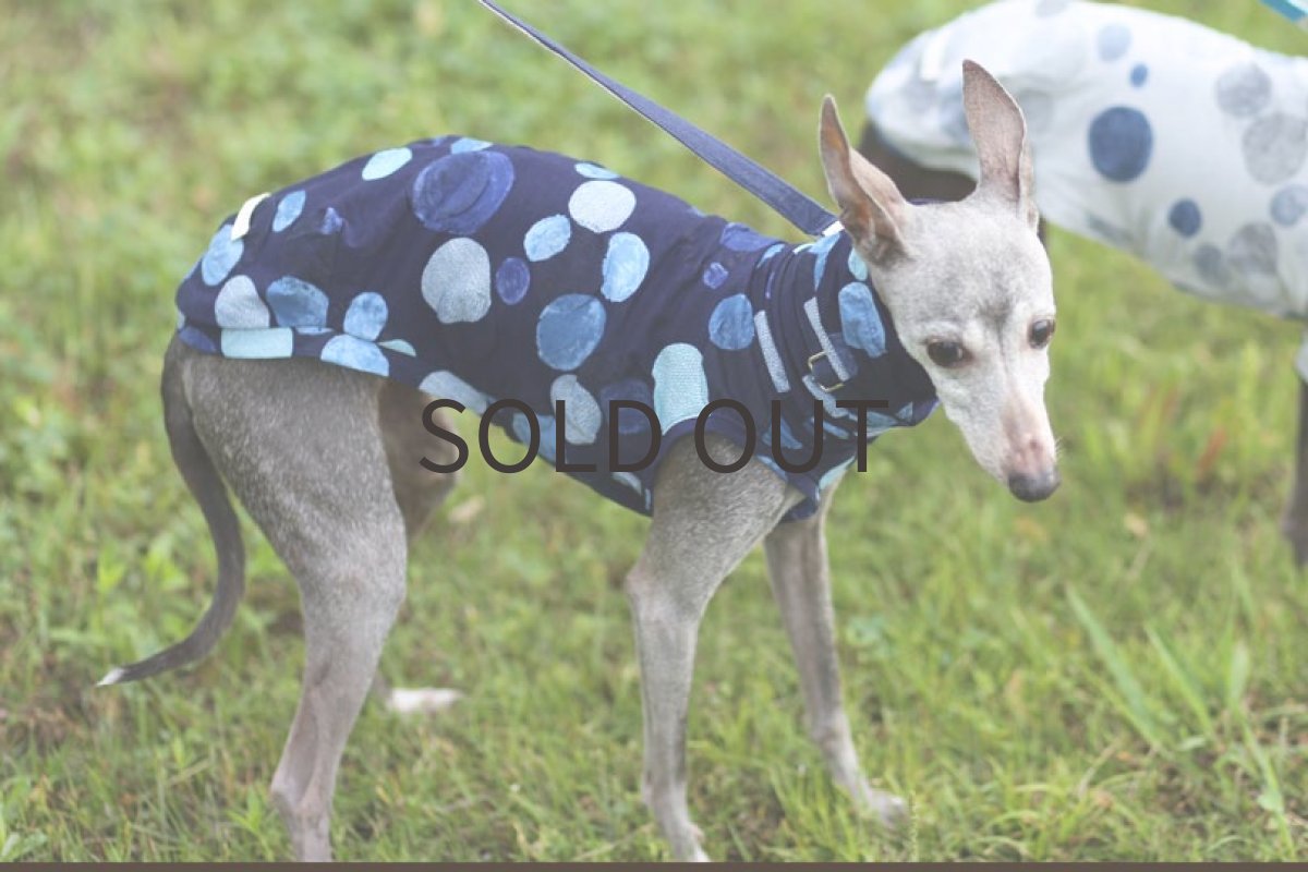 画像4: リップルニット水玉(ネイビー)〜LLサイズまで ノースリーブのみ (4)