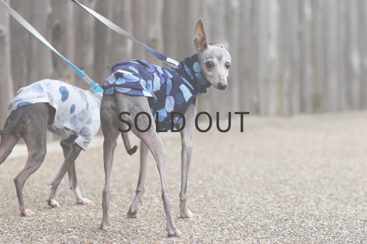 画像2: リップルニット水玉(ネイビー)〜LLサイズまで ノースリーブのみ (2)