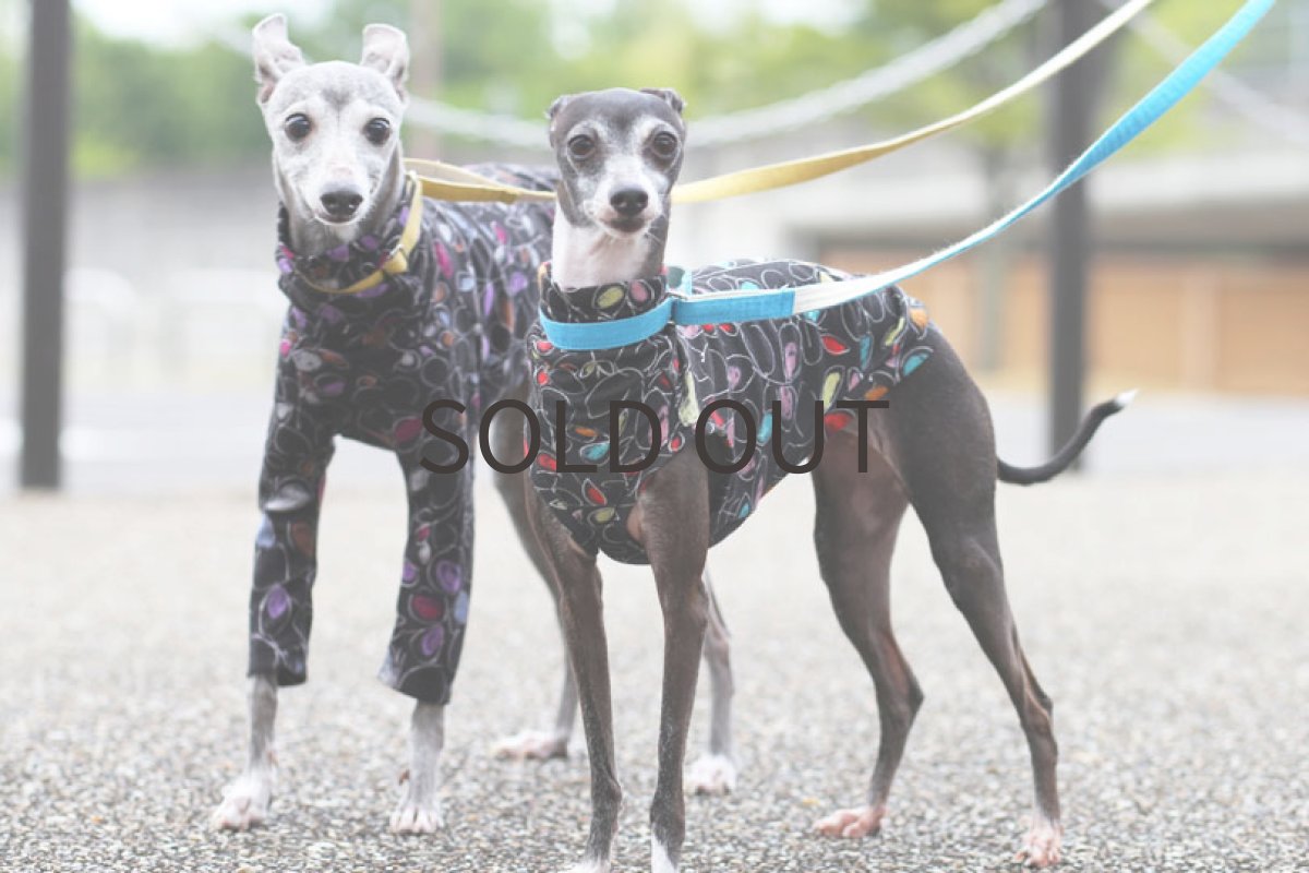 画像3: くれよんリーフ（ベージュブラック） (3)