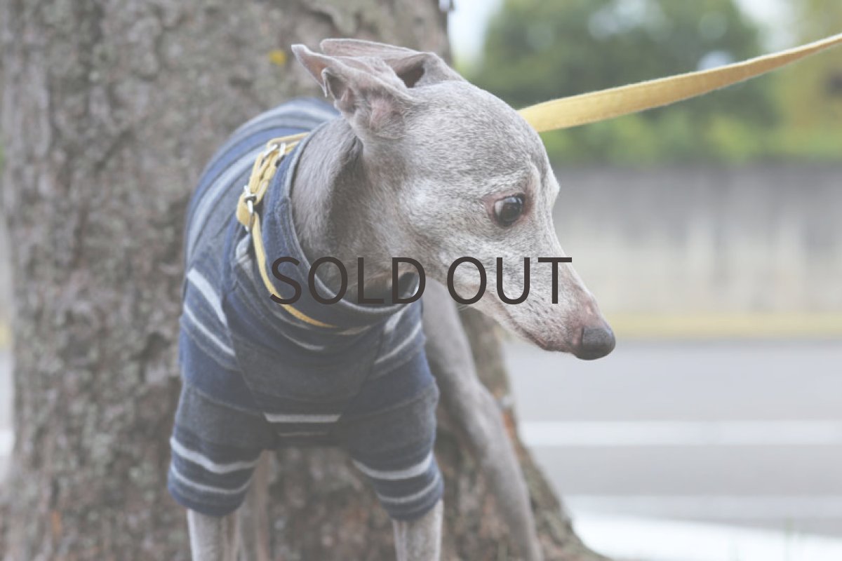 画像2: タックボーダー（チャコール）〜Lサイズまで (2)