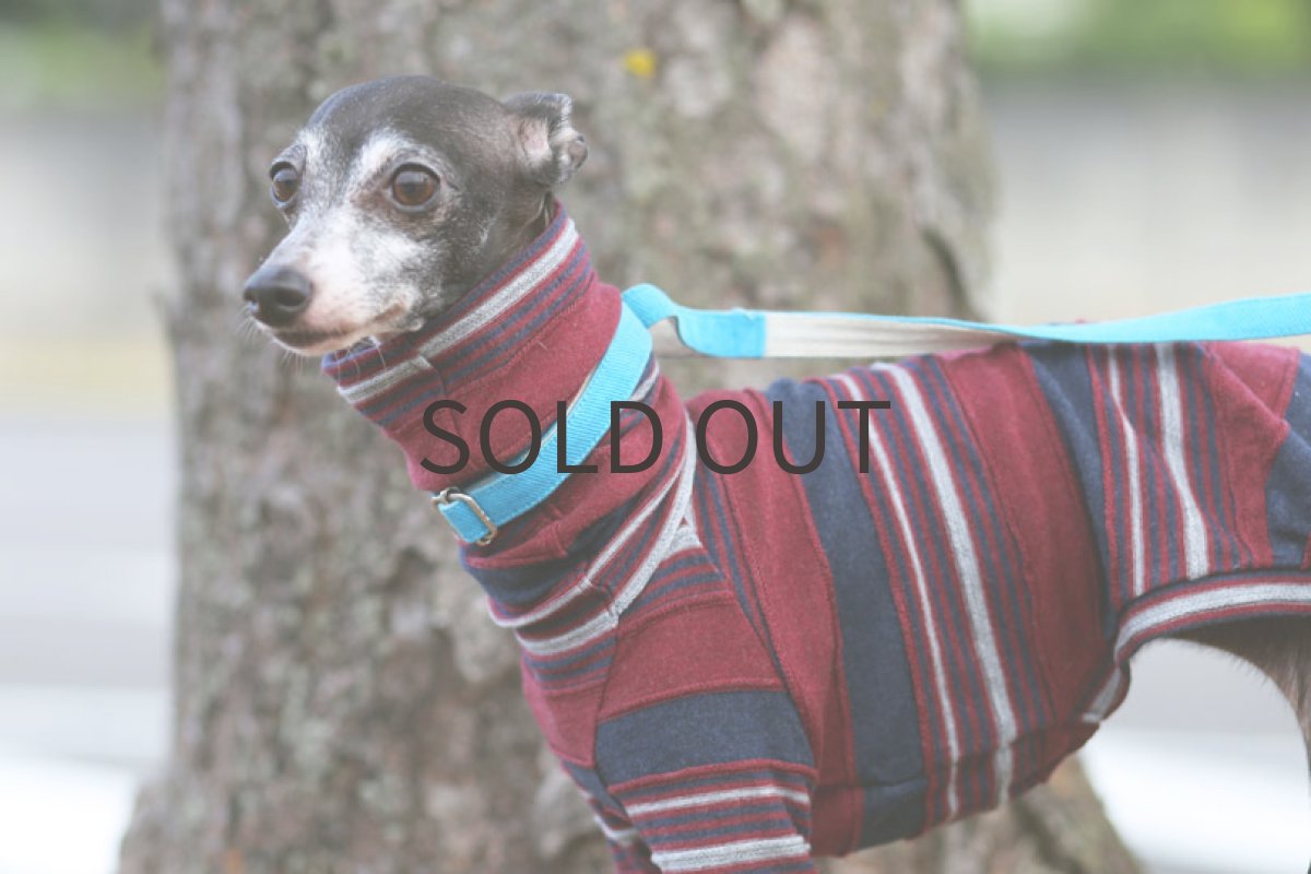 画像2: タックボーダー（エンジ） (2)