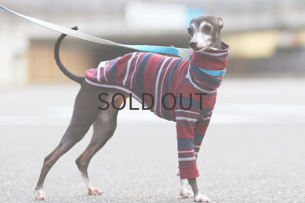 画像3: タックボーダー（エンジ） (3)