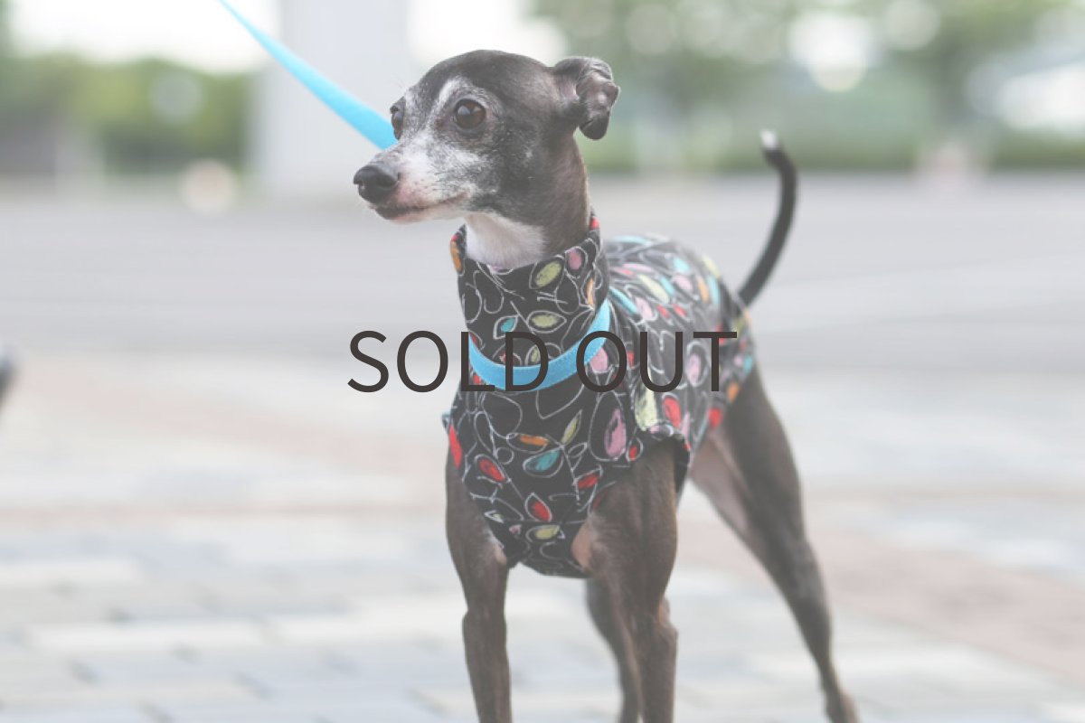 画像2: くれよんリーフ（ベージュブラック） (2)