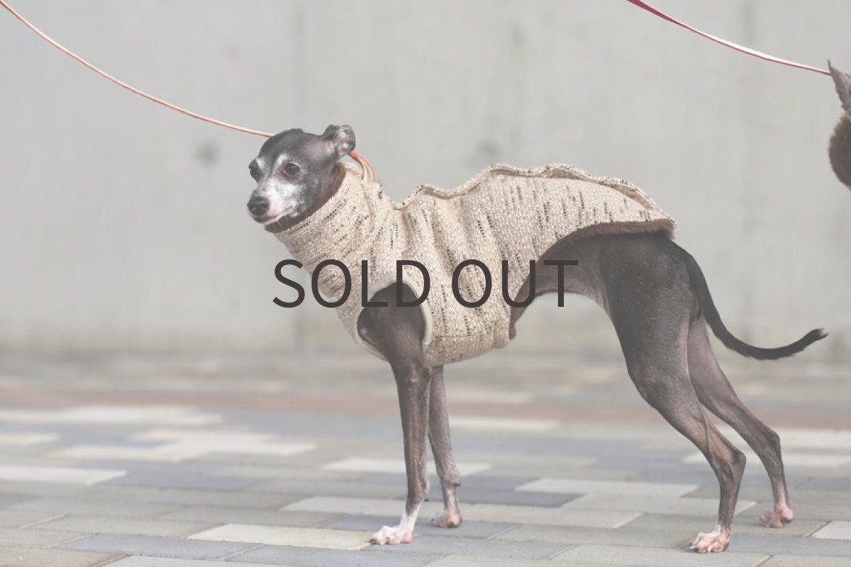 画像5: 背開きツイードベスト（ブラック）〜Mサイズまで (5)