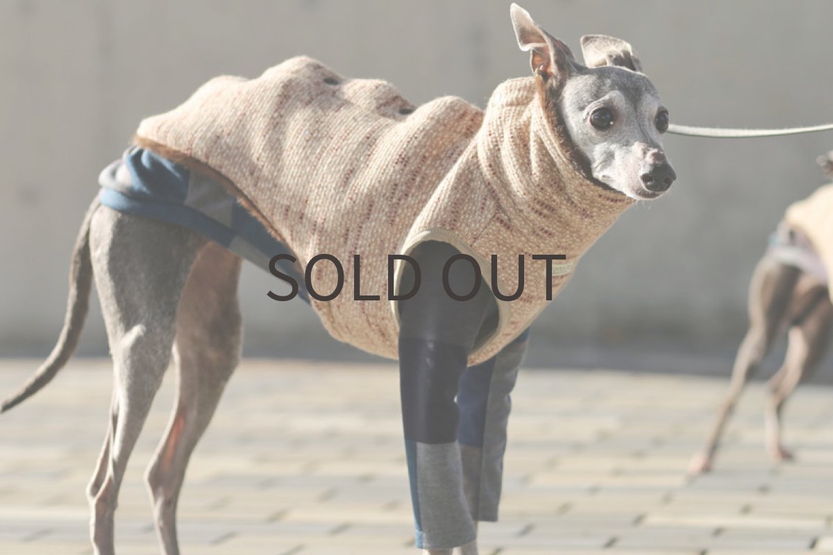 画像4: 背開きツイードベスト（レッド） (4)