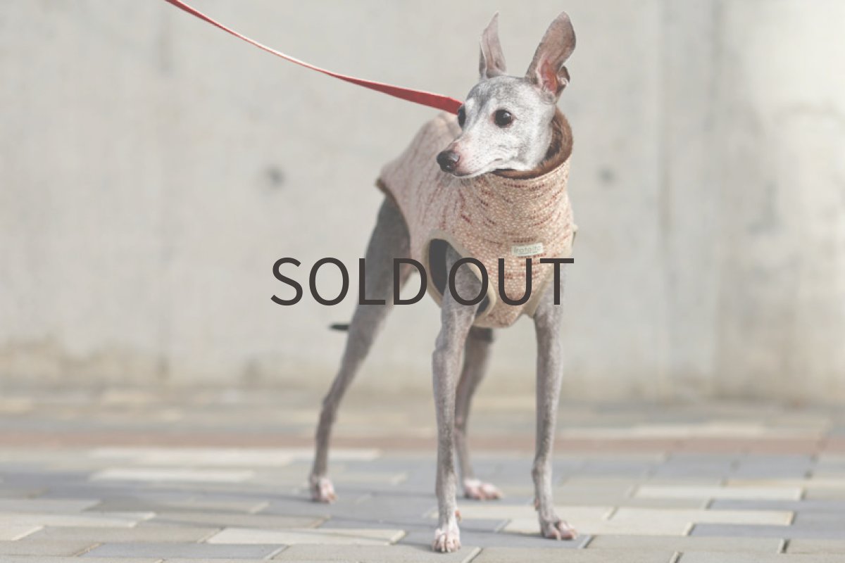 画像3: 背開きツイードベスト（レッド） (3)