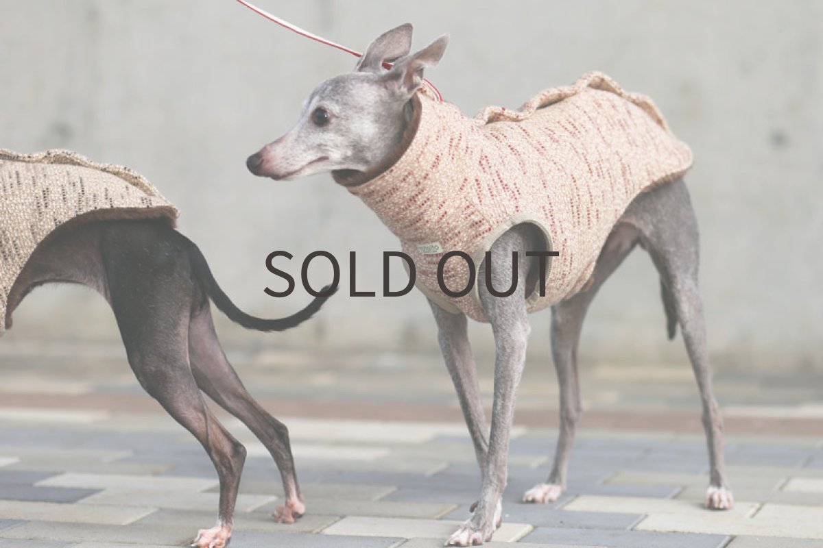 画像5: 背開きツイードベスト（レッド） (5)