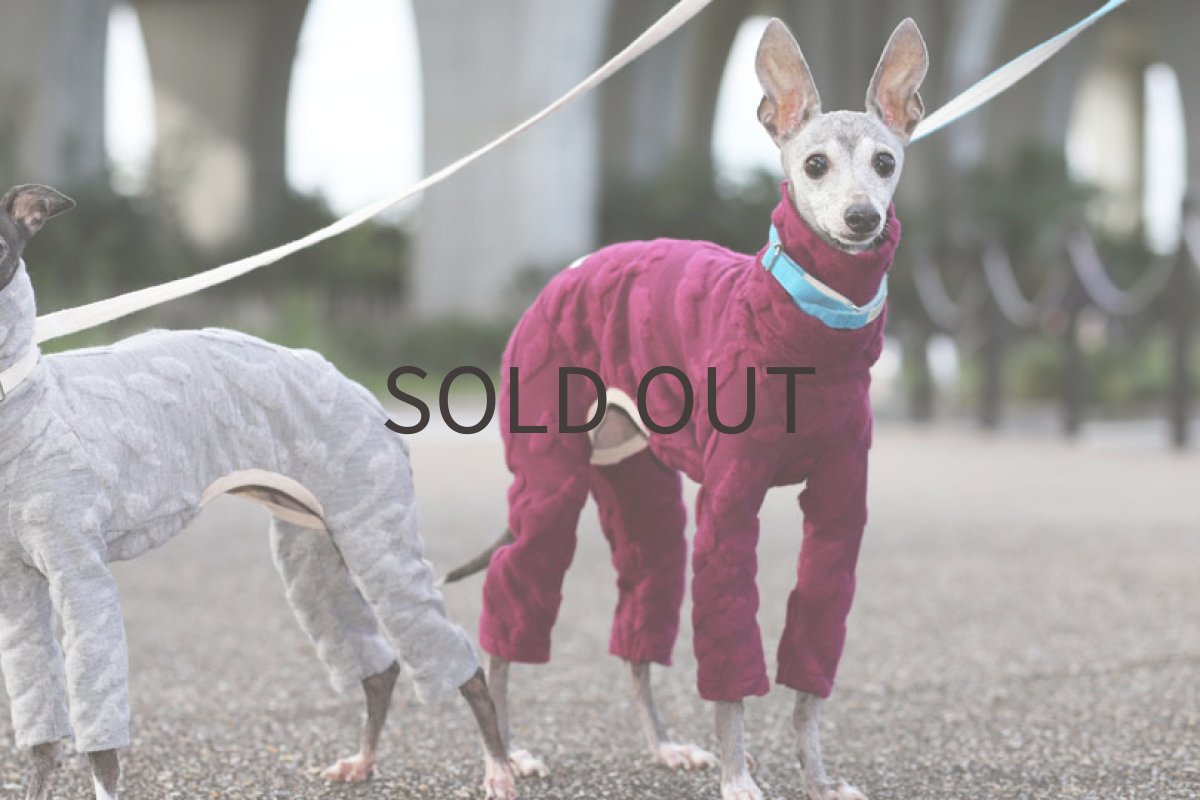 画像2: ポコっと起毛ロンパース（ボルドー）〜Mサイズまで (2)