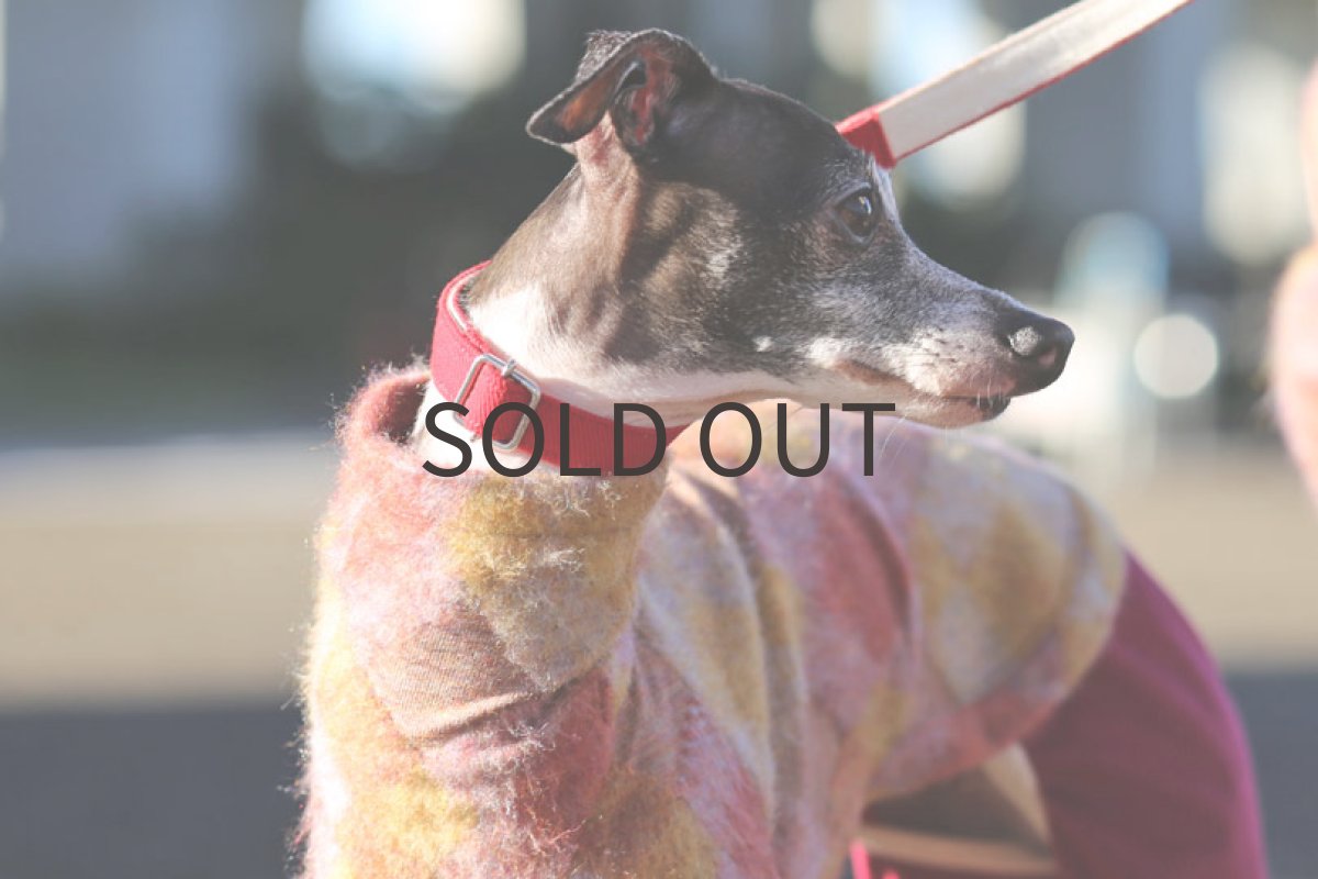 画像4: ウール混シャギーニット（ラズベリー） (4)