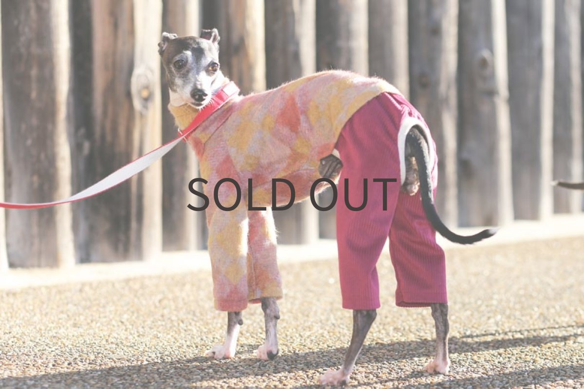 画像2: ウール混シャギーニット（ラズベリー） (2)