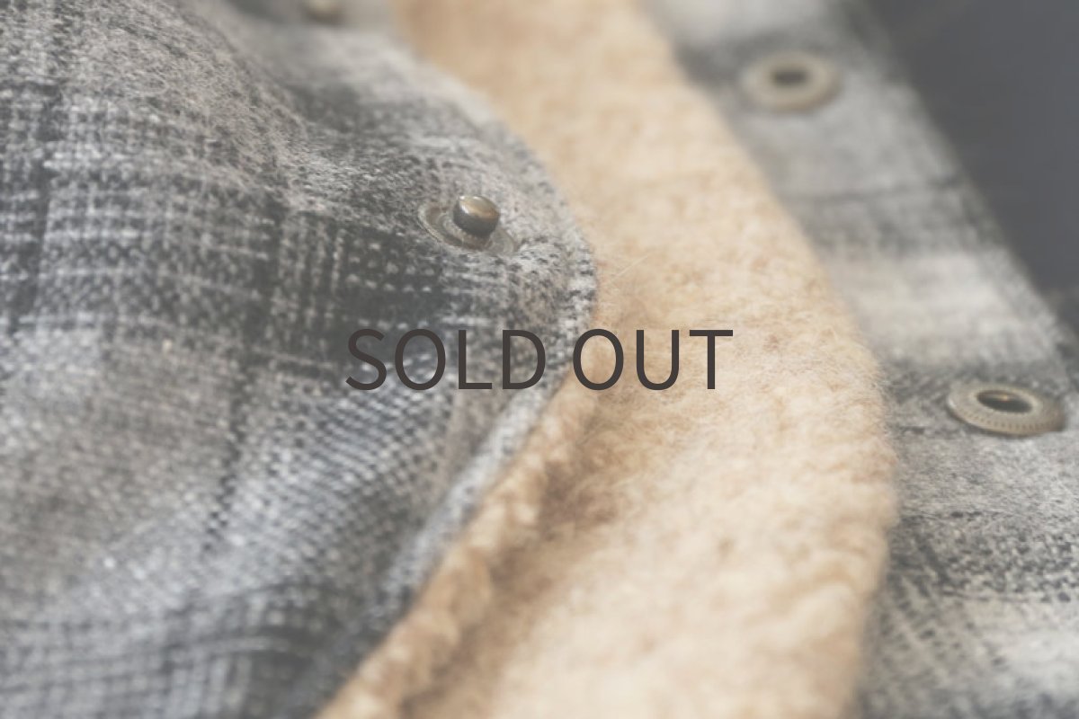 画像7: 【背開きベスト】エターミンチェック (7)