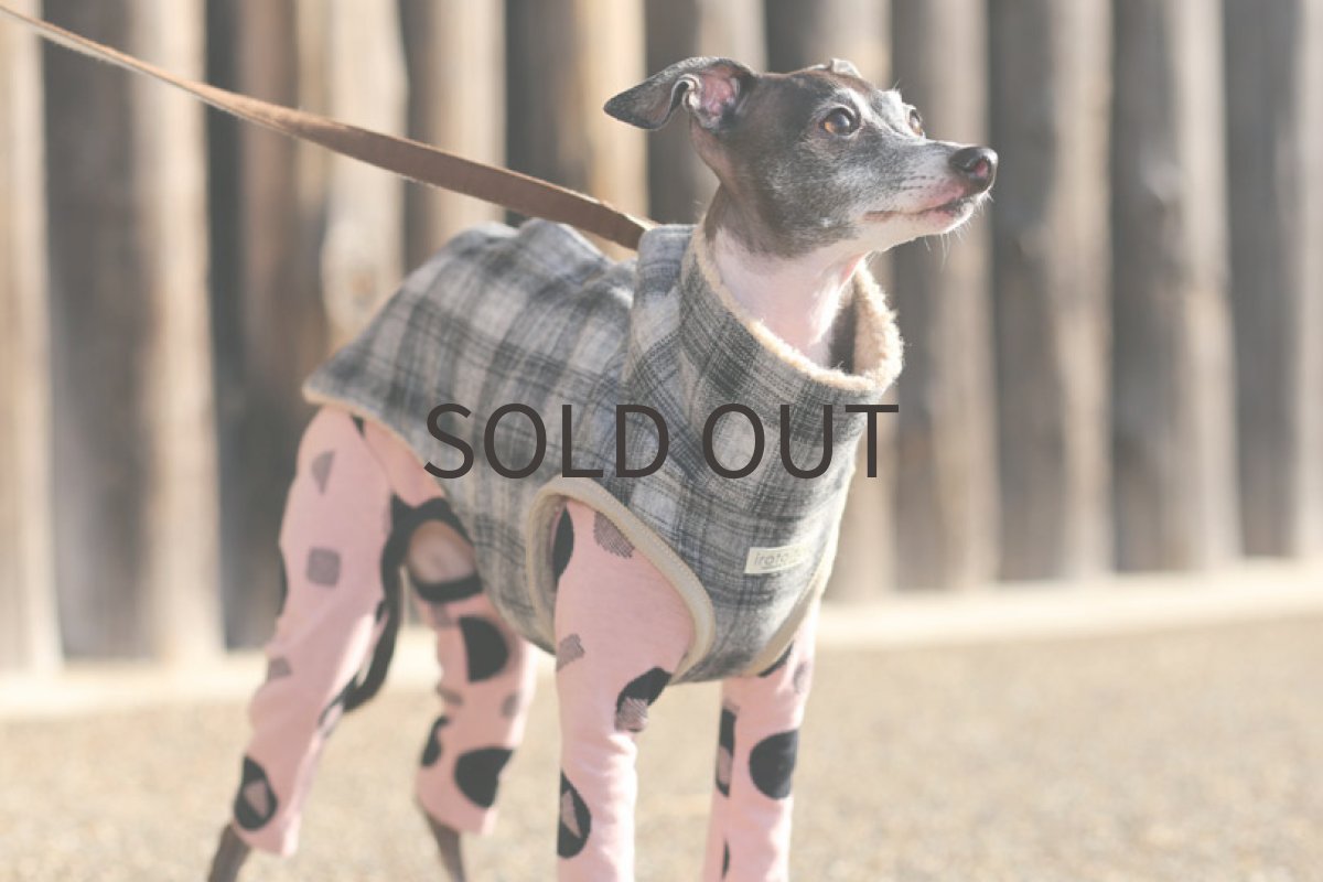 画像4: 【背開きベスト】エターミンチェック (4)