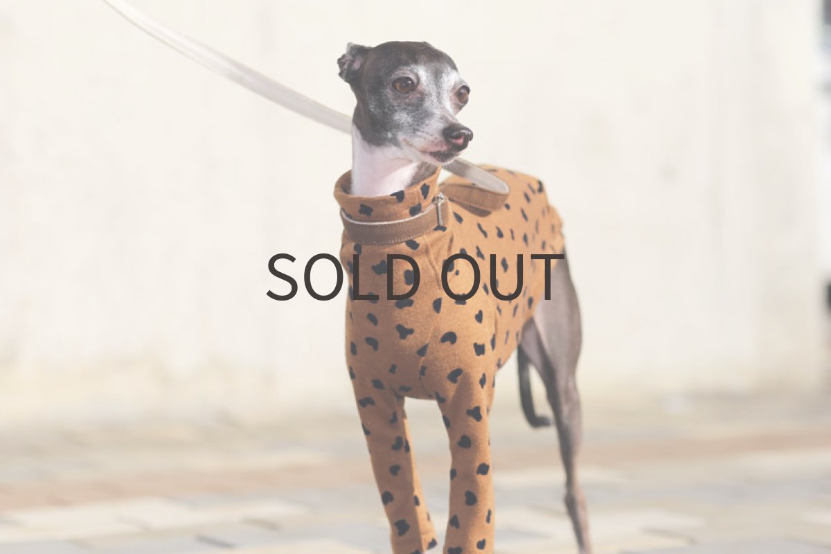 画像4: フロッキープリント（キャメル）〜Lサイズまで (4)