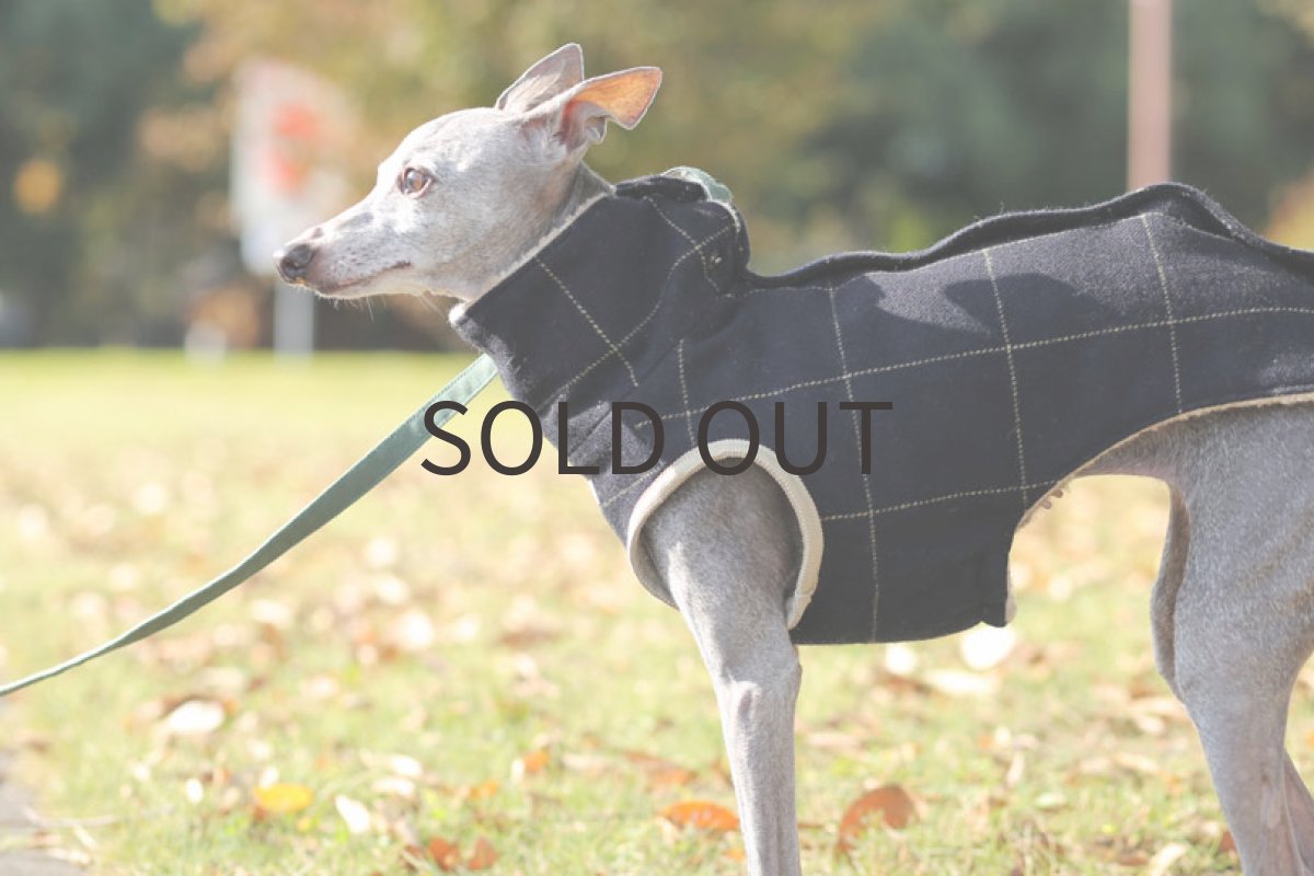 画像4: 【背開きベスト】ウィンドペン (4)