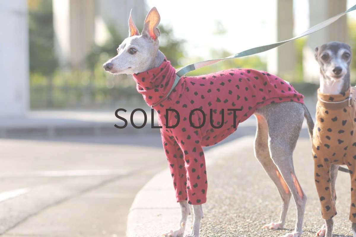 画像3: フロッキープリント（アティックローズ）〜MLサイズまで (3)