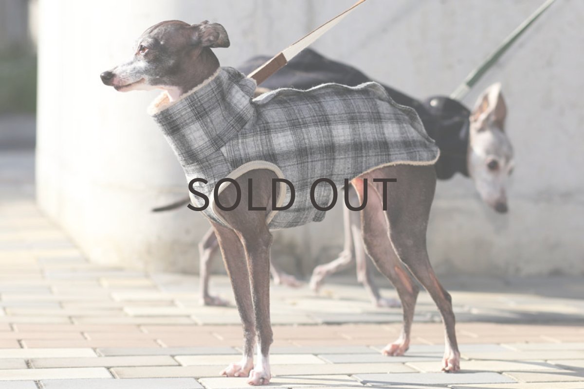 画像2: 【背開きベスト】エターミンチェック (2)