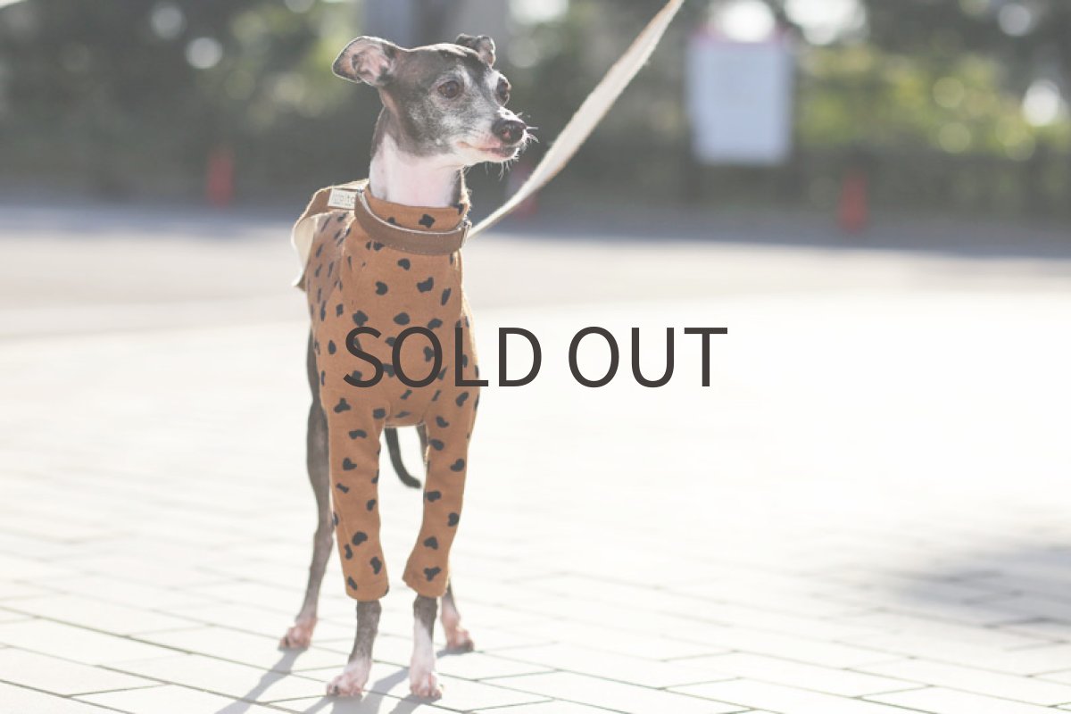 画像2: フロッキープリント（キャメル）〜Lサイズまで (2)