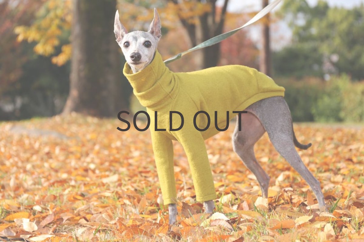 画像3: アストラカンウール（ピスタチオ）〜MLサイズまで (3)